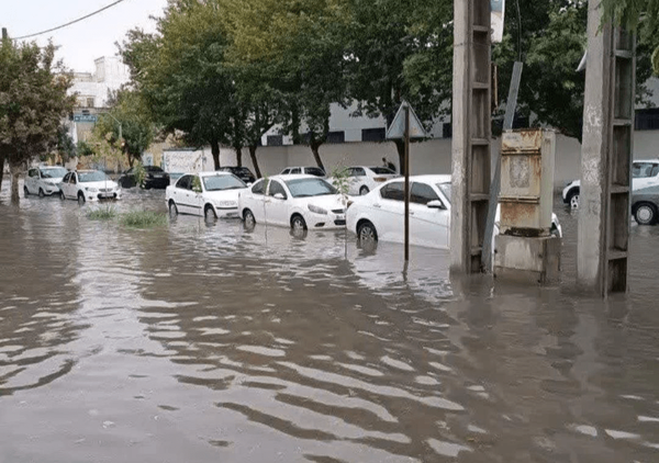 تصویر شاخص